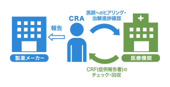 CRAは医療機関に赴いて医師へのヒアリングや治験の進捗確認を実施。CRF（症例報告書）のチェックと回収を行い、製薬メーカーに報告する。
